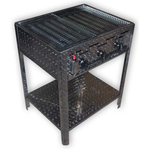 solide rvs gas barbecue met rvs rooster