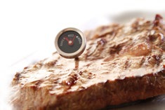 Vlees kern thermometer